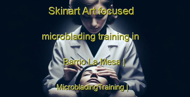 Skinart Art-focused microblading training in Barrio La Mesa | MicrobladingTraining | MicrobladingClasses | SkinartTraining-Mexico